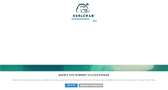 Desktop Screenshot of keelcrab.com